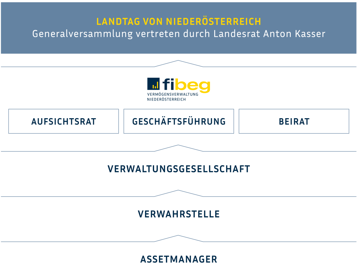 Die Grafik zeigt die Organisationsstruktur der fibeg.